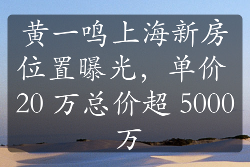 黃一鳴上海新房位置曝光，單價 20 萬總價超 5000 萬