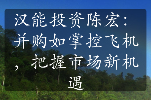 漢能投資陳宏：并購(gòu)如掌控飛機(jī)，把握市場(chǎng)新機(jī)遇