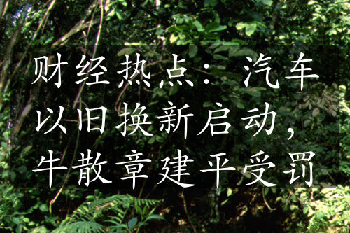 財(cái)經(jīng)熱點(diǎn)：汽車以舊換新啟動(dòng)，牛散章建平受罰