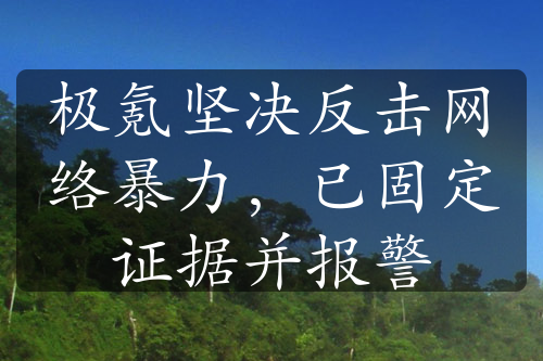 極氪堅(jiān)決反擊網(wǎng)絡(luò)暴力，已固定證據(jù)并報(bào)警