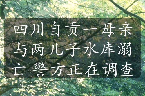 四川自貢一母親與兩兒子水庫溺亡 警方正在調(diào)查