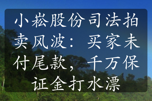 小崧股份司法拍賣風(fēng)波：買家未付尾款，千萬(wàn)保證金打水漂