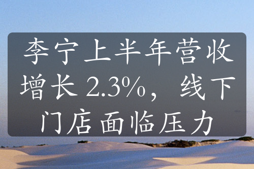 李寧上半年?duì)I收增長 2.3%，線下門店面臨壓力