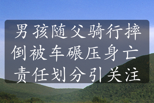 男孩隨父騎行摔倒被車碾壓身亡 責(zé)任劃分引關(guān)注