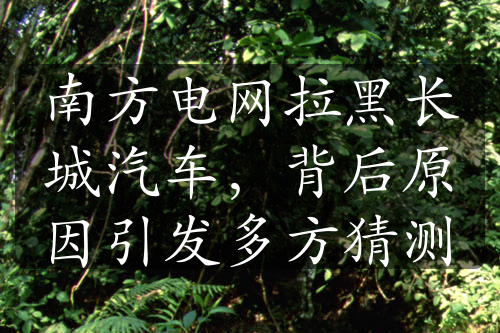 南方電網(wǎng)拉黑長(zhǎng)城汽車，背后原因引發(fā)多方猜測(cè)