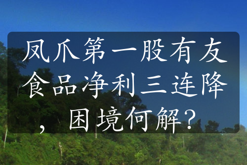 鳳爪第一股有友食品凈利三連降，困境何解？