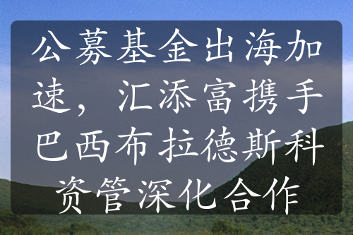 公募基金出海加速，匯添富攜手巴西布拉德斯科資管深化合作