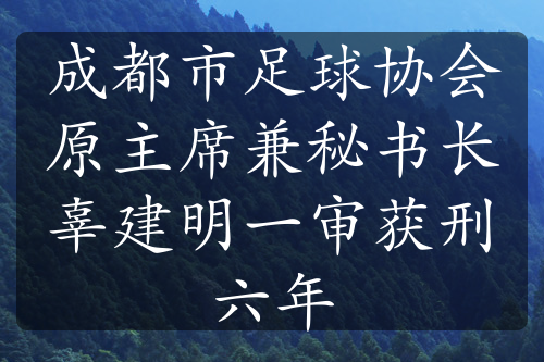 成都市足球協(xié)會原主席兼秘書長辜建明一審獲刑六年