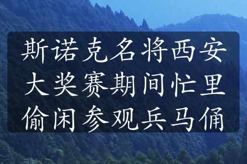 斯諾克名將西安大獎賽期間忙里偷閑參觀兵馬俑