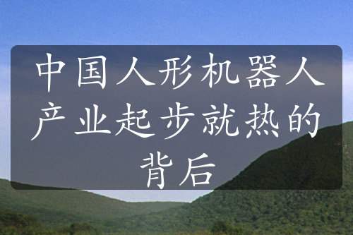 中國人形機(jī)器人產(chǎn)業(yè)起步就熱的背后