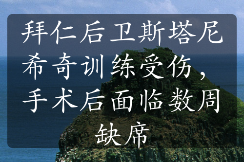 拜仁后衛(wèi)斯塔尼希奇訓(xùn)練受傷，手術(shù)后面臨數(shù)周缺席