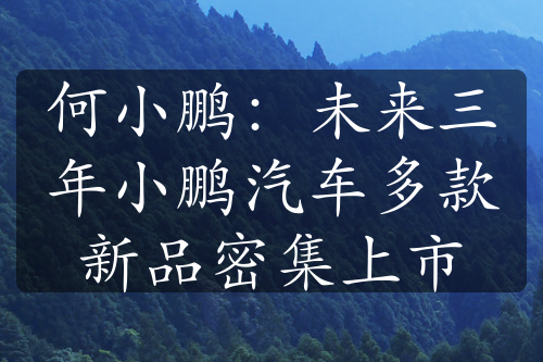 何小鵬：未來三年小鵬汽車多款新品密集上市