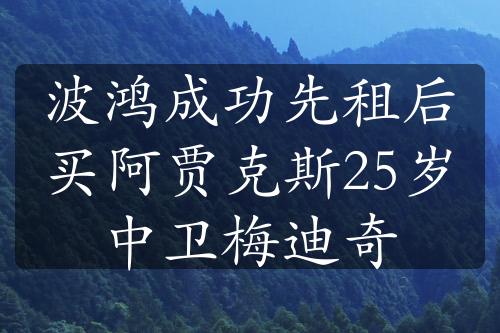 波鴻成功先租后買阿賈克斯25歲中衛(wèi)梅迪奇