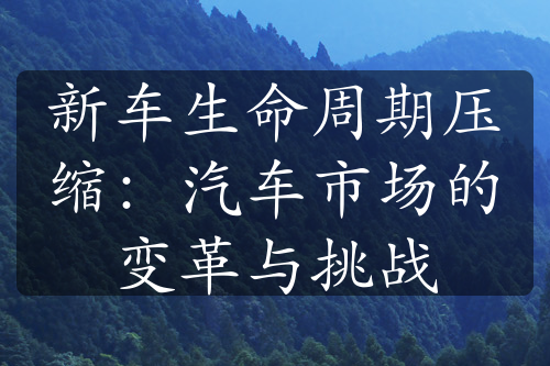 新車生命周期壓縮：汽車市場的變革與挑戰(zhàn)