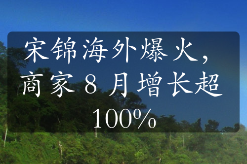 宋錦海外爆火，商家 8 月增長超 100%