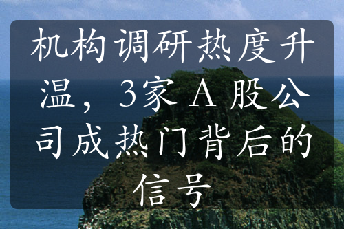 機(jī)構(gòu)調(diào)研熱度升溫，3家 A 股公司成熱門背后的信號