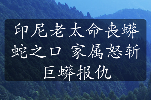 印尼老太命喪蟒蛇之口 家屬怒斬巨蟒報(bào)仇