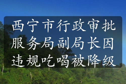 西寧市行政審批服務(wù)局副局長因違規(guī)吃喝被降級