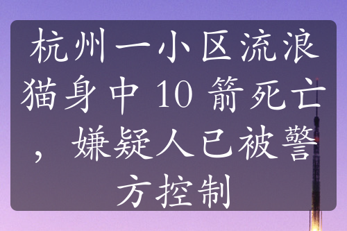 杭州一小區(qū)流浪貓身中 10 箭死亡，嫌疑人已被警方控制