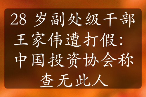 28 歲副處級干部王家偉遭打假：中國投資協(xié)會稱查無此人