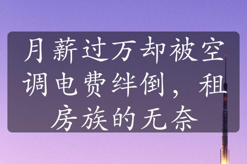 月薪過(guò)萬(wàn)卻被空調(diào)電費(fèi)絆倒，租房族的無(wú)奈