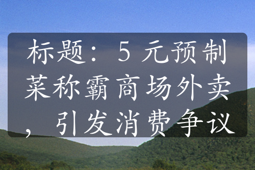 標(biāo)題：5 元預(yù)制菜稱霸商場外賣，引發(fā)消費(fèi)爭議