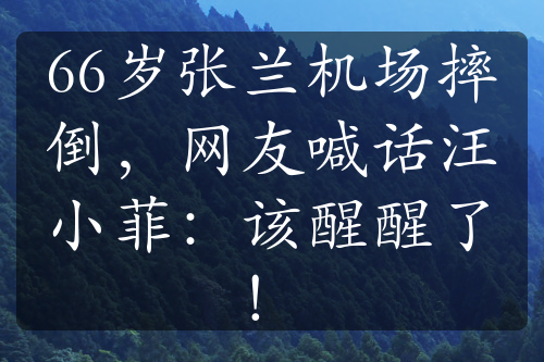 66歲張?zhí)m機(jī)場(chǎng)摔倒，網(wǎng)友喊話汪小菲：該醒醒了！