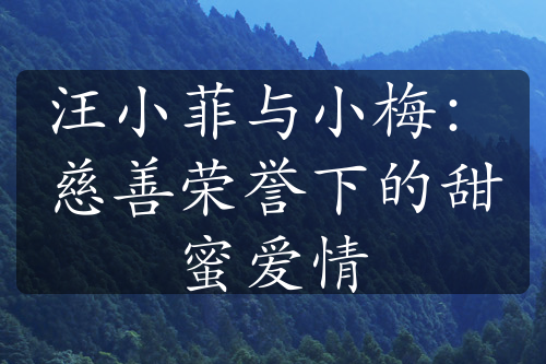 汪小菲與小梅：慈善榮譽(yù)下的甜蜜愛情